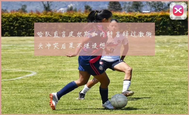 哈队直言皮尔斯加内特言辞过激街头冲突后果不堪设想